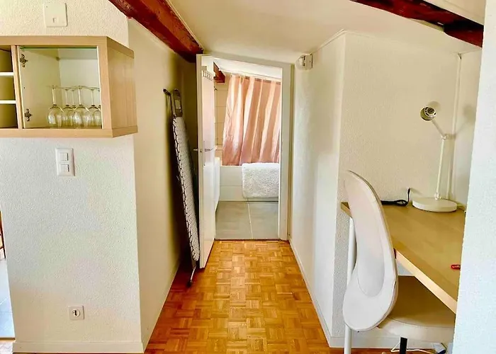 Cosy Attic Flat Center * ローザンヌ