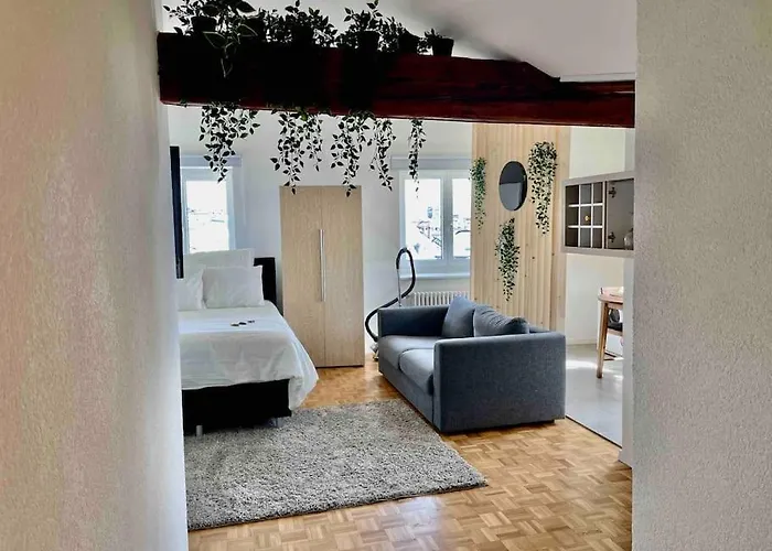 Cosy Attic Flat Center 公寓