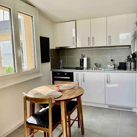 Cosy Attic Flat Center لوزان