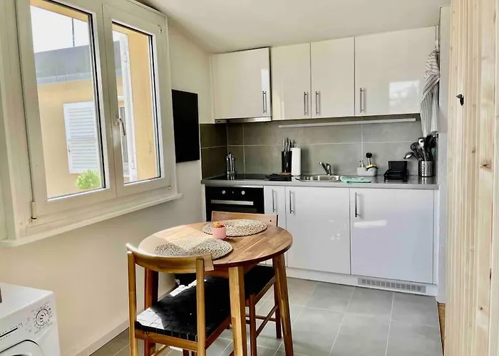 Cosy Attic Flat Center Лозана